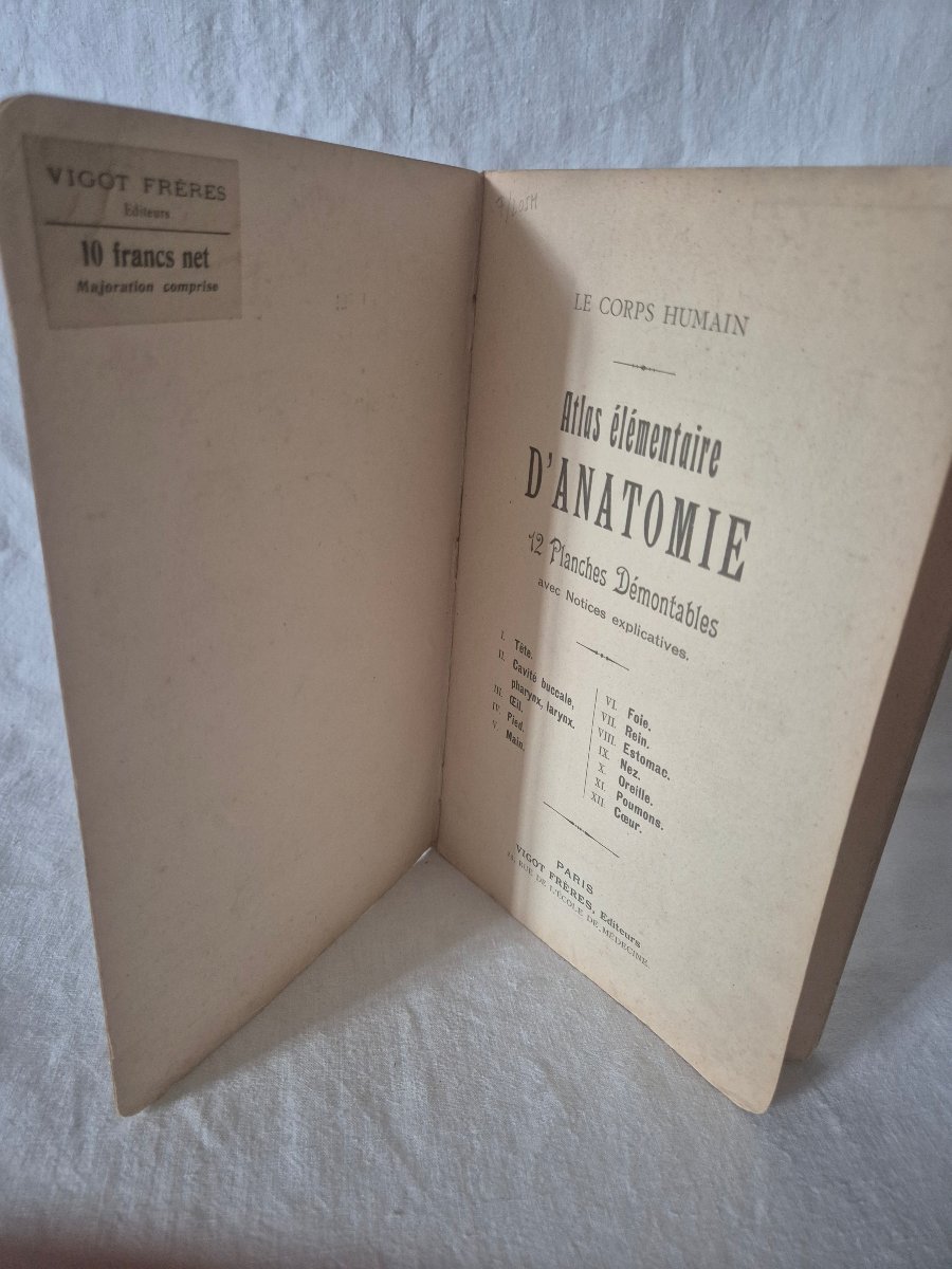 Elementary Atlas Of Anatomy From The Early 20th Century With Removable Plates -photo-4
