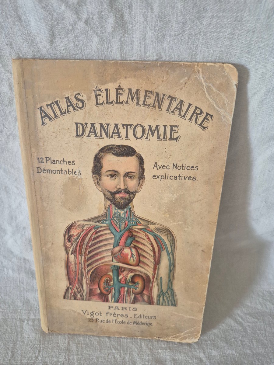 Elementary Atlas Of Anatomy From The Early 20th Century With Removable Plates 