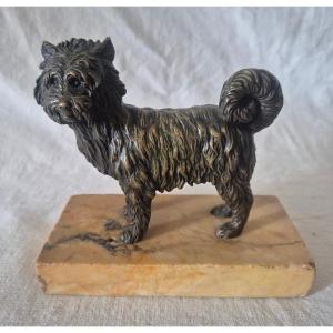 Standing Bronze Dog, Terrier-type, Ancient Breed, 19th Century