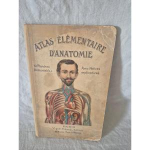 Elementary Atlas Of Anatomy From The Early 20th Century With Removable Plates 