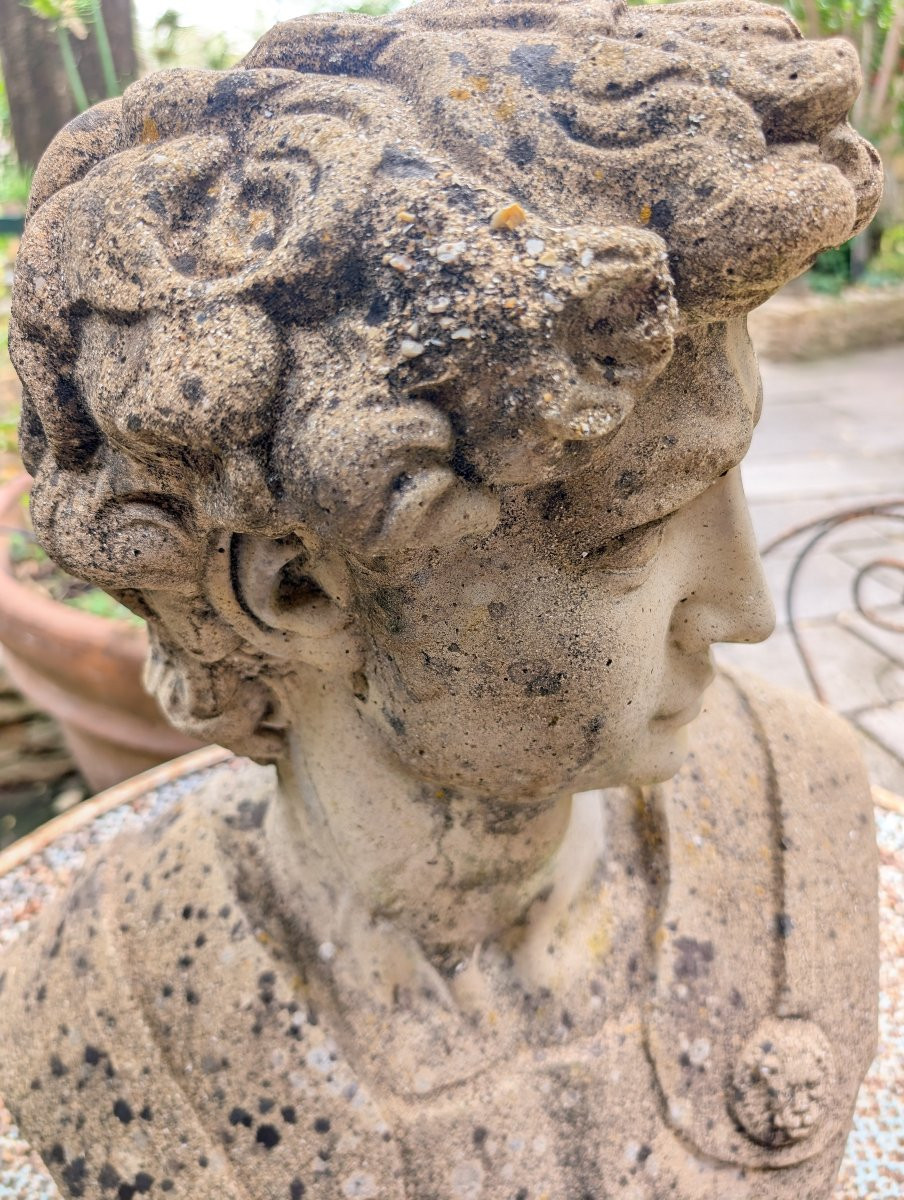Buste David -photo-2