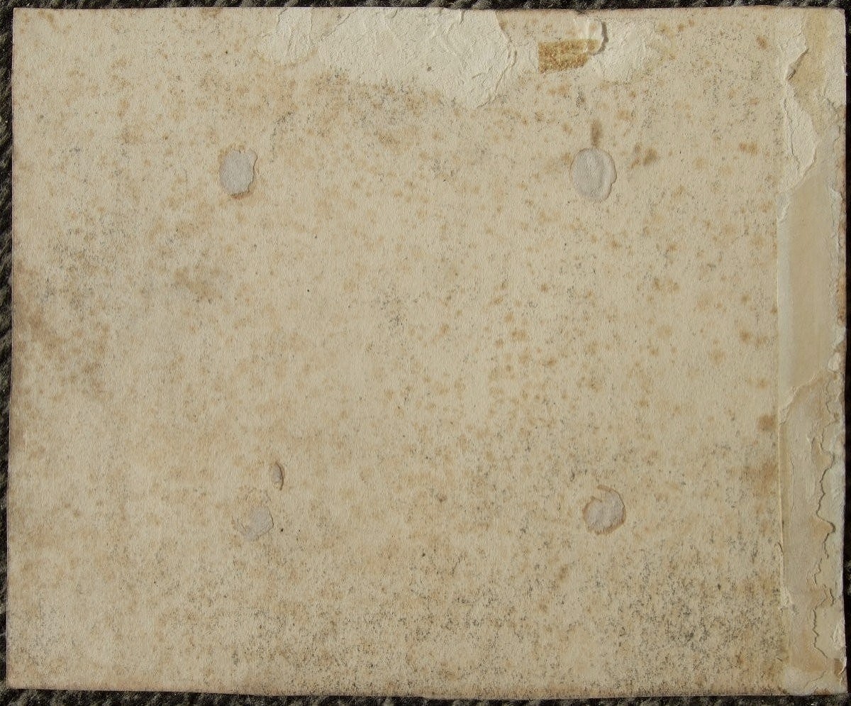 G. Wustmann 1873-1939. Arbres au bord de l'eau.-photo-2