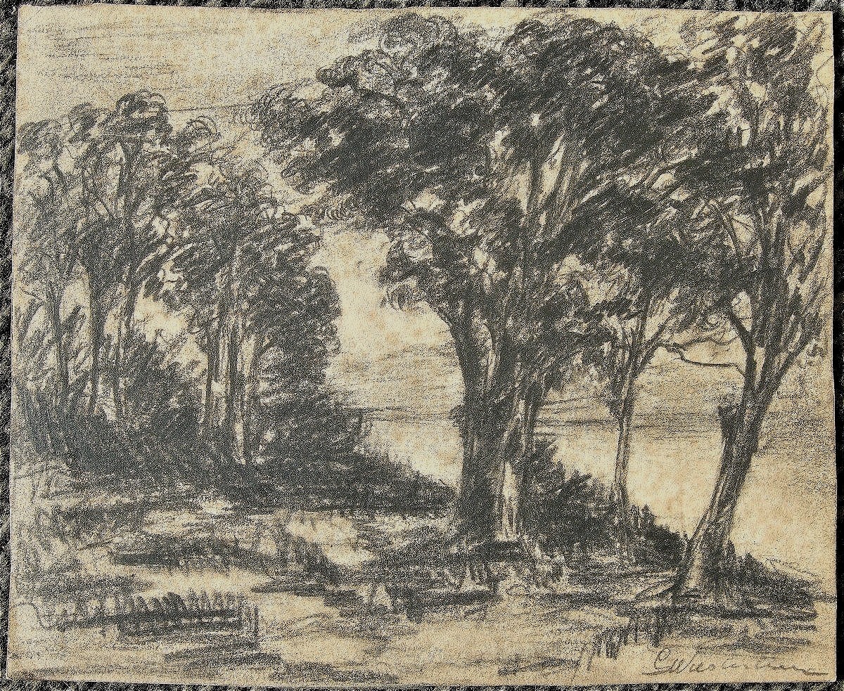 G. Wustmann 1873-1939. Arbres au bord de l'eau.
