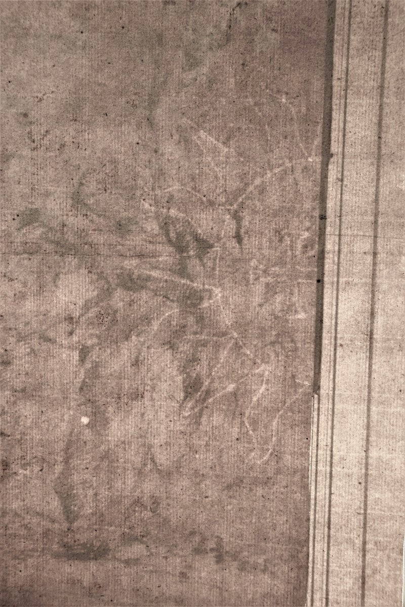 Michel Corneille 1642 - 1708. Landscape With A Tree.-photo-1