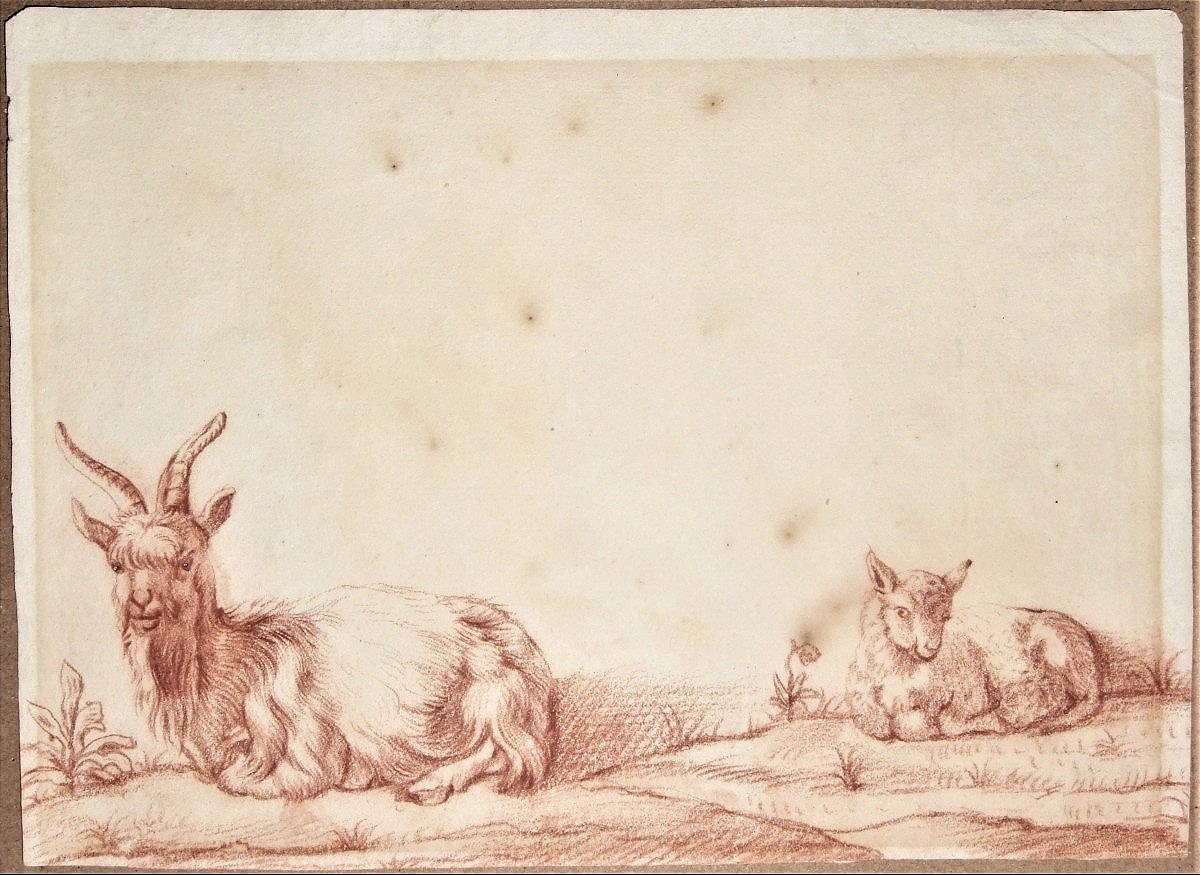 Ecole hollandaise, vers 1700. Un bouc et une chèvre.
