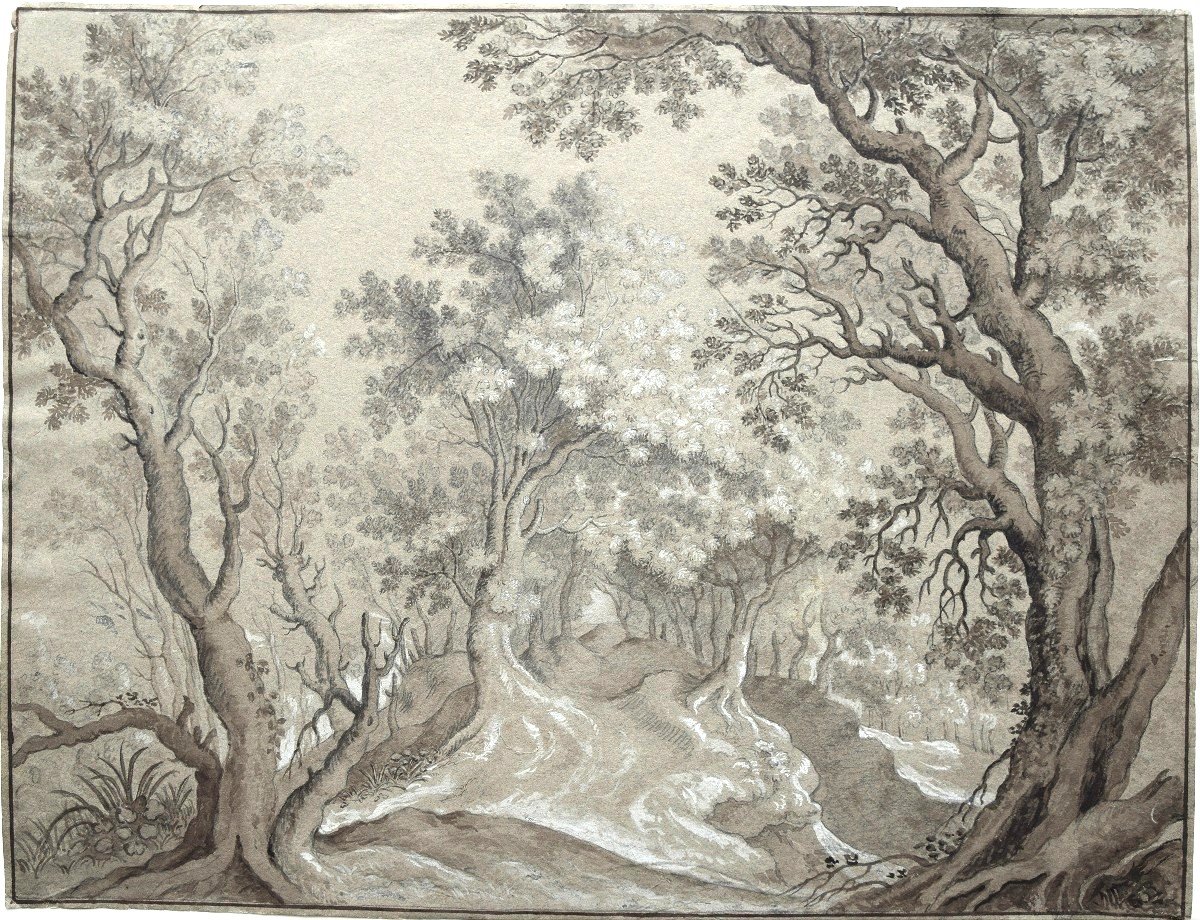 Northern School Of The 19th Century. A Path In The Forest.