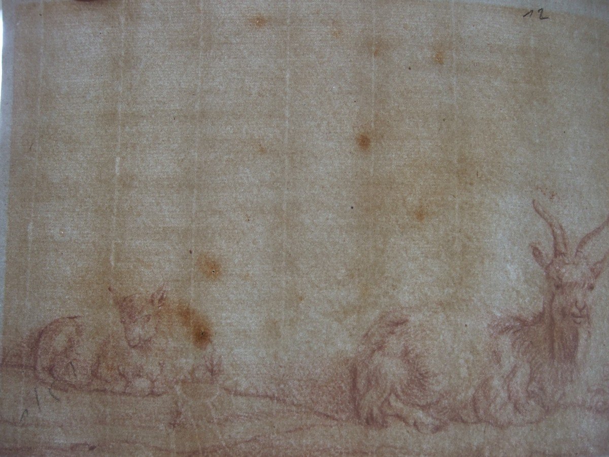 Dutch School, Circa 1700. Goat & Goat. Red Chalk On Watermarked Paper.-photo-3