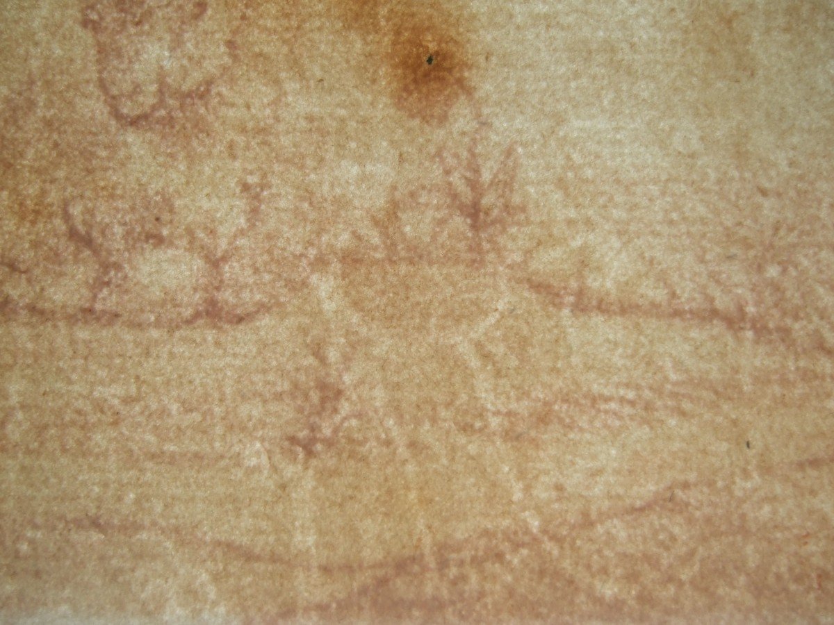 Dutch School, Circa 1700. Goat & Goat. Red Chalk On Watermarked Paper.-photo-4