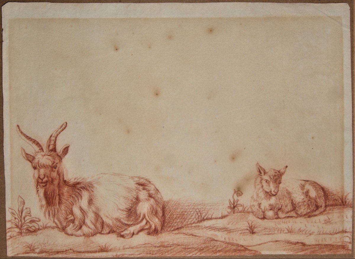 Dutch School, Circa 1700. Goat & Goat. Red Chalk On Watermarked Paper.