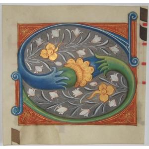 Initial "s" On Parchment, 15th Century Cut From An Antiphonary.
