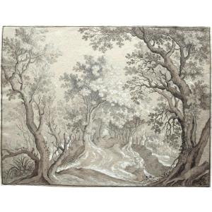 Northern School Of The 19th Century. A Path In The Forest.