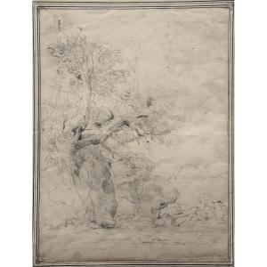 Michel Corneille 1642–1708. Landscape With A Tree.