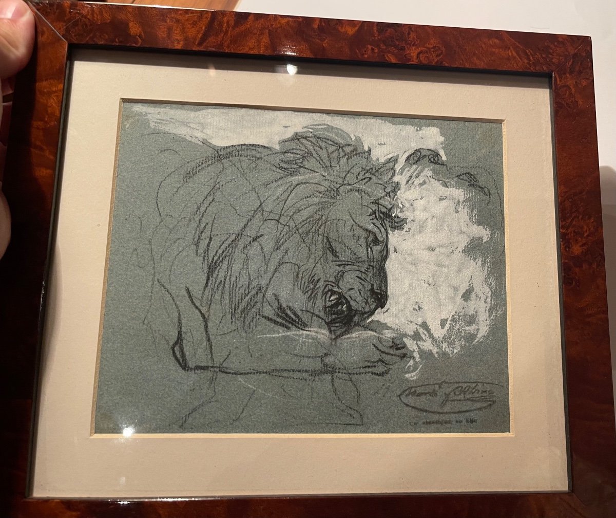 Ramon Martí Alsina (1826-1894). Lion. Pencil And Gouache. Animalism.-photo-2