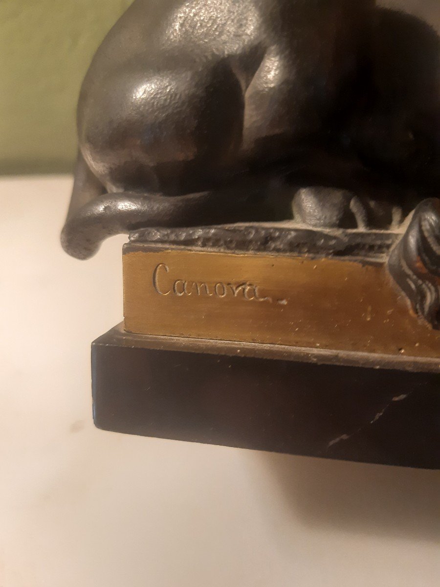 Lion Bronze 19th Century -photo-2