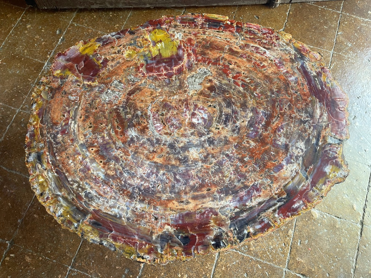 Table Basse Bois Pétrifié-photo-2