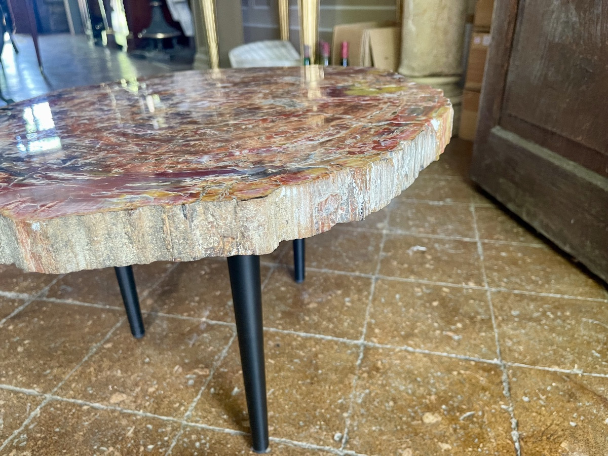 Table Basse Bois Pétrifié-photo-3
