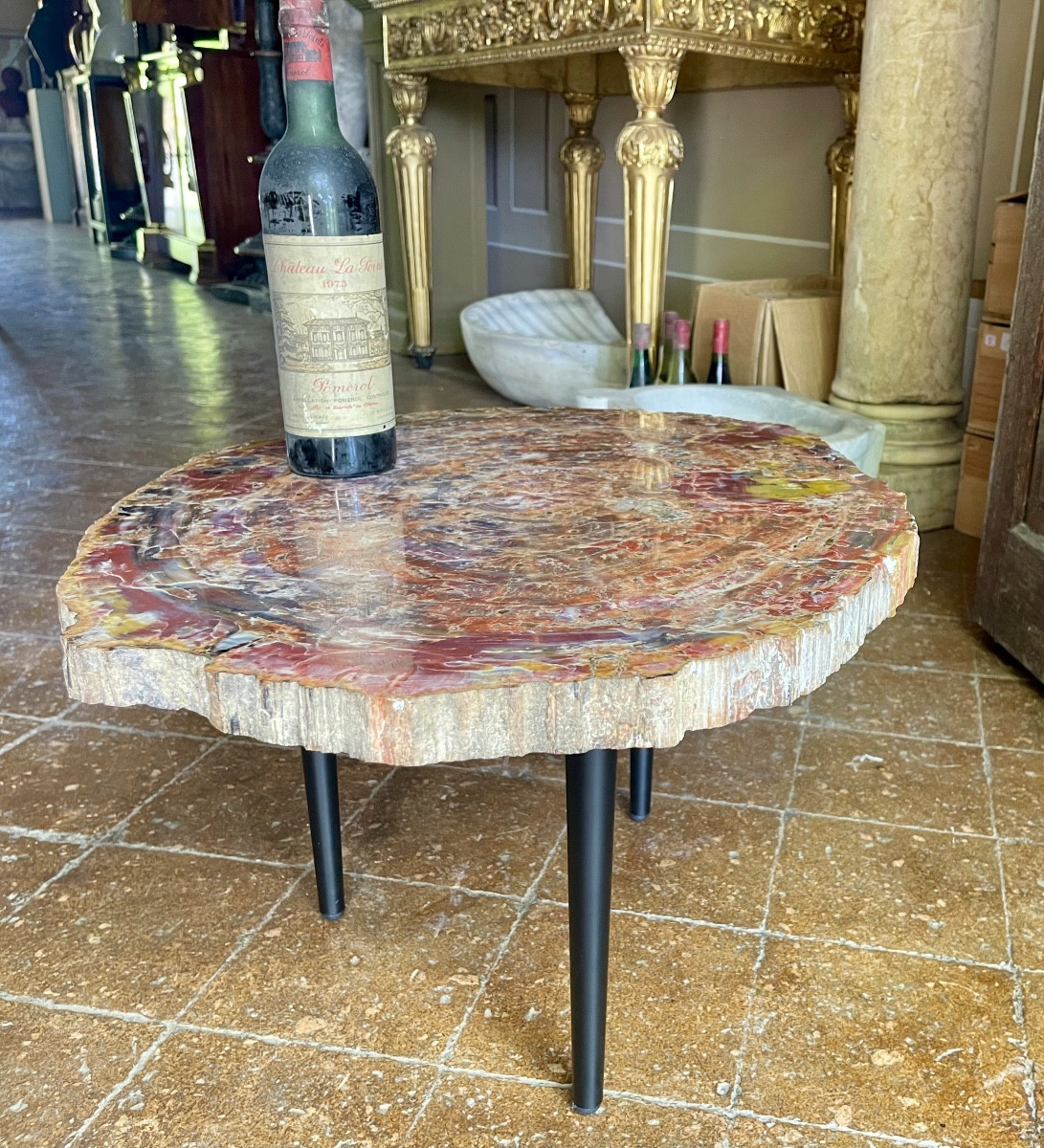 Table Basse Bois Pétrifié-photo-4
