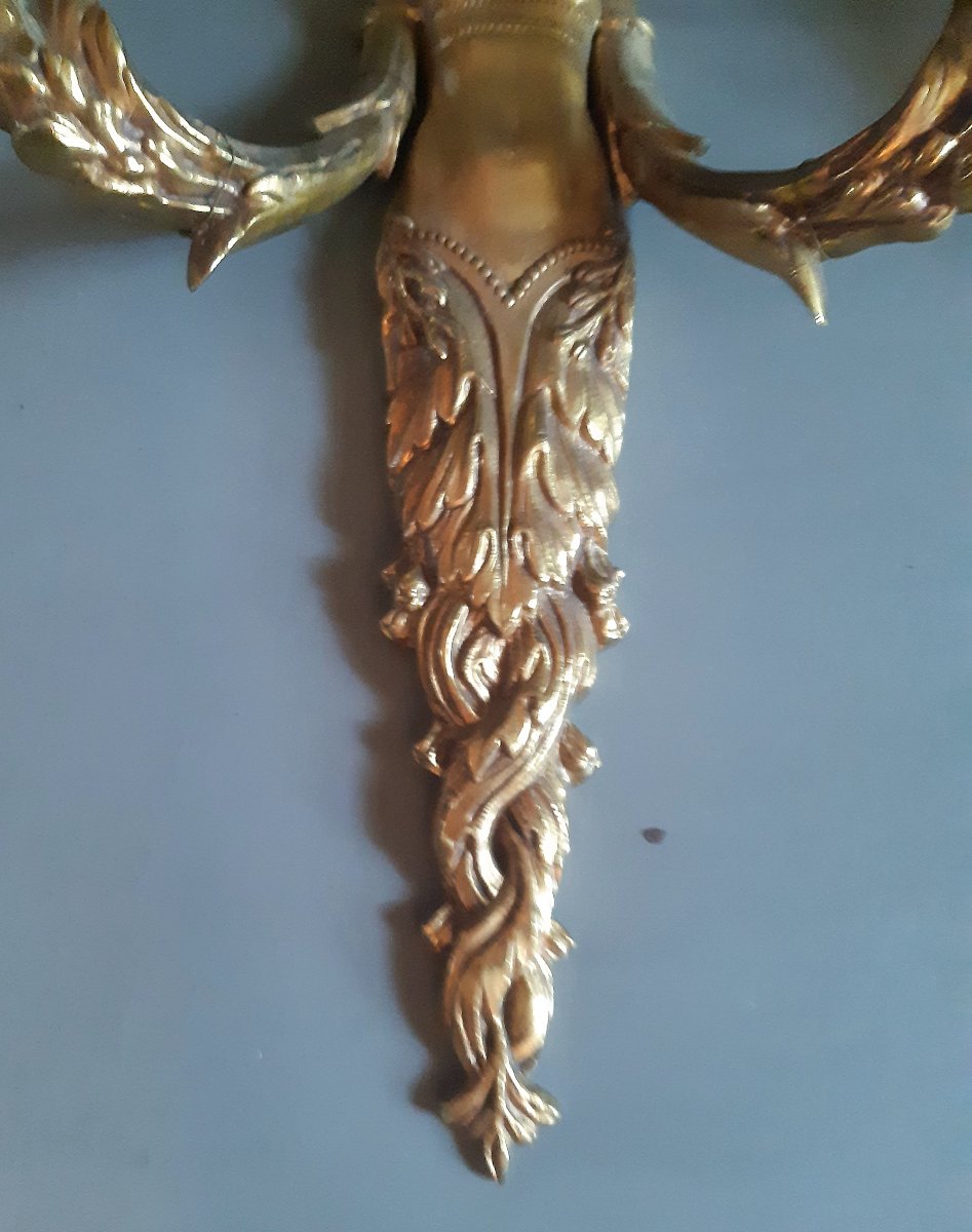 Paire d'appliques Louis XVI en bronze doré -photo-3