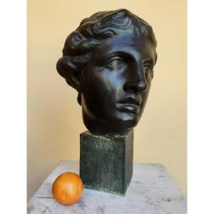 Venus Head In Bronze