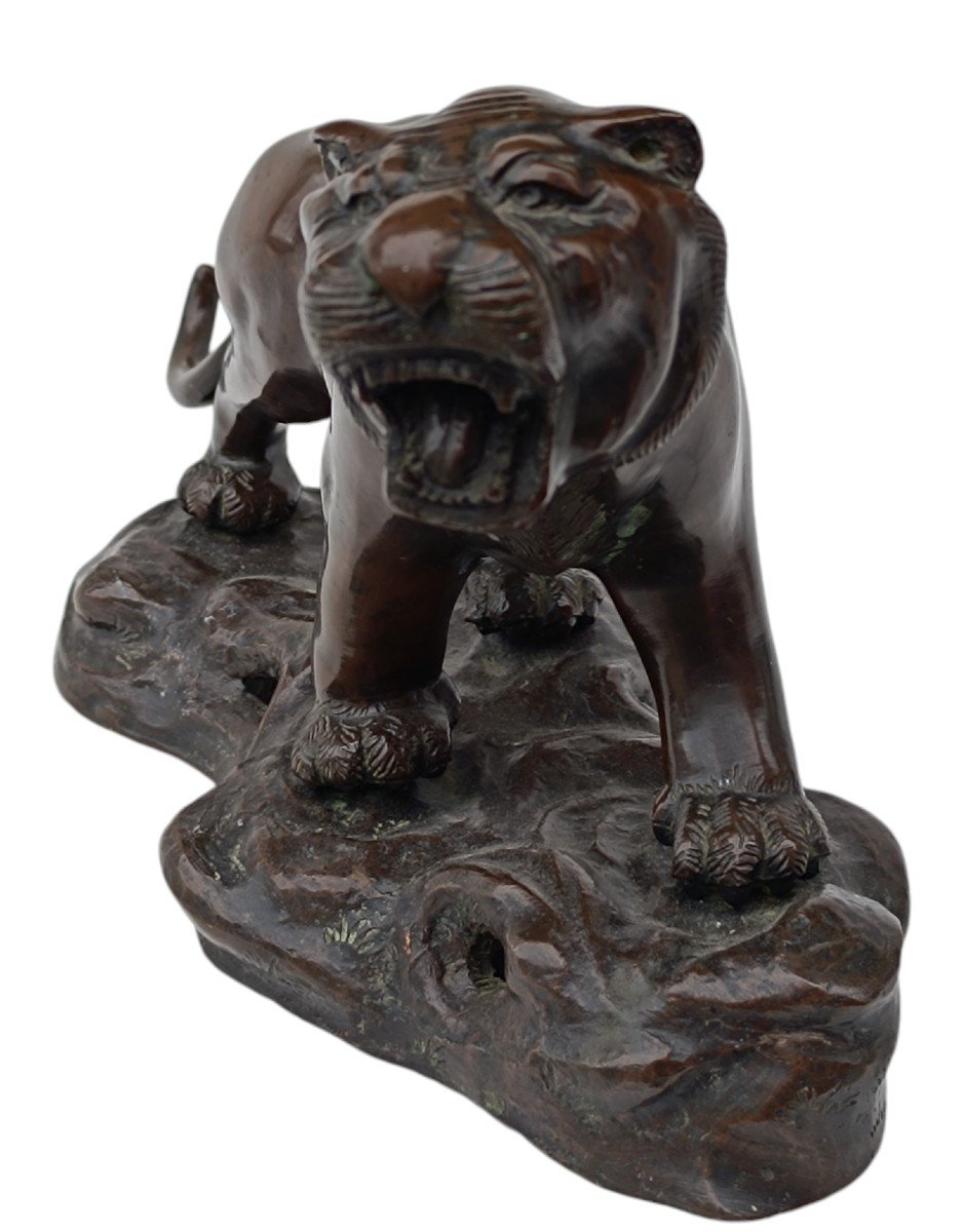 Tigre bronze époque Meiji / Japon-photo-2