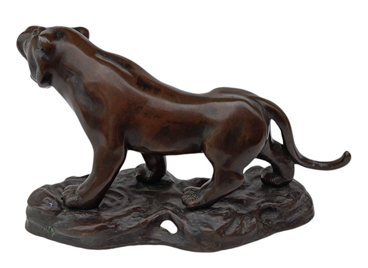 Tigre bronze époque Meiji / Japon-photo-3