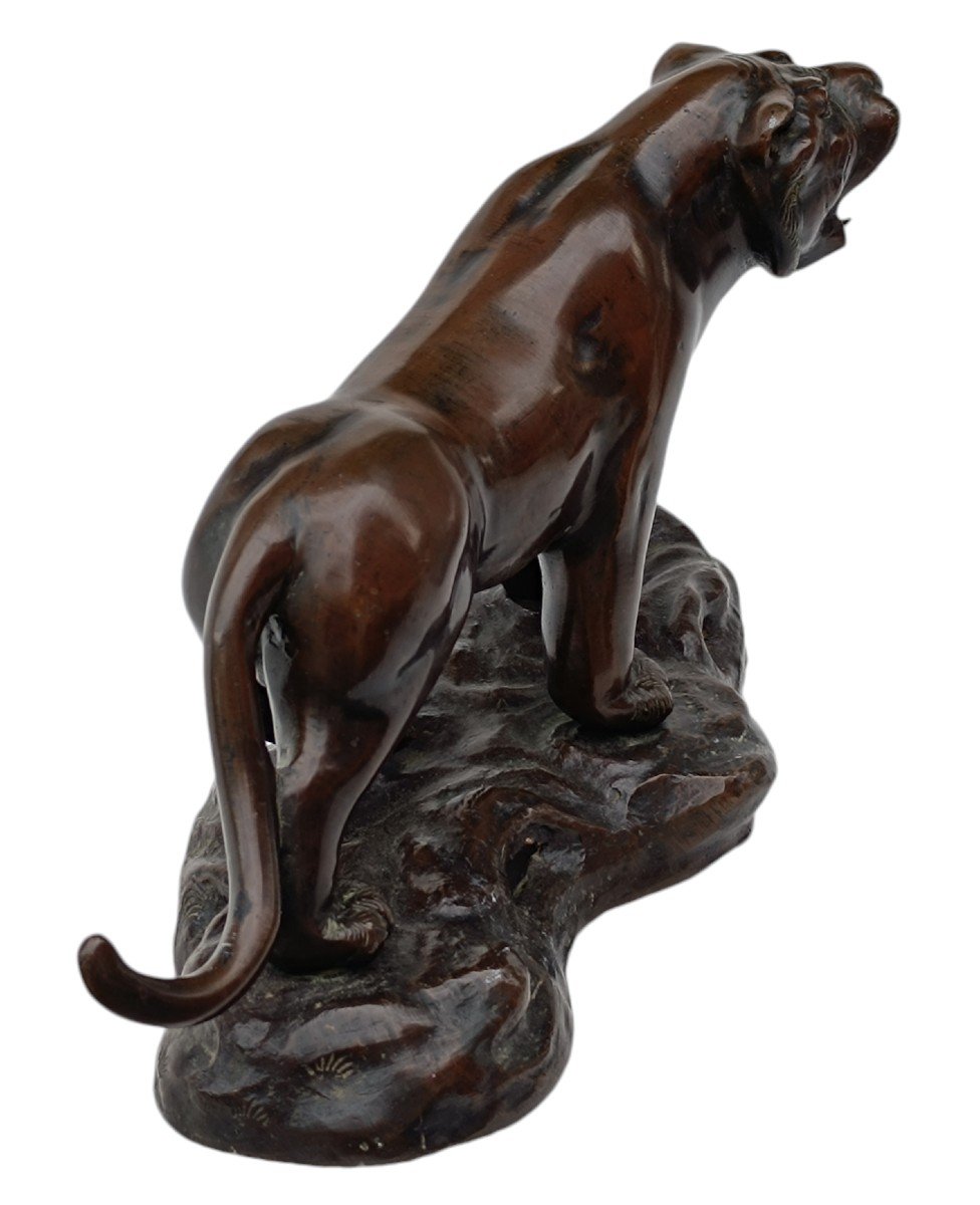 Tigre bronze époque Meiji / Japon-photo-4