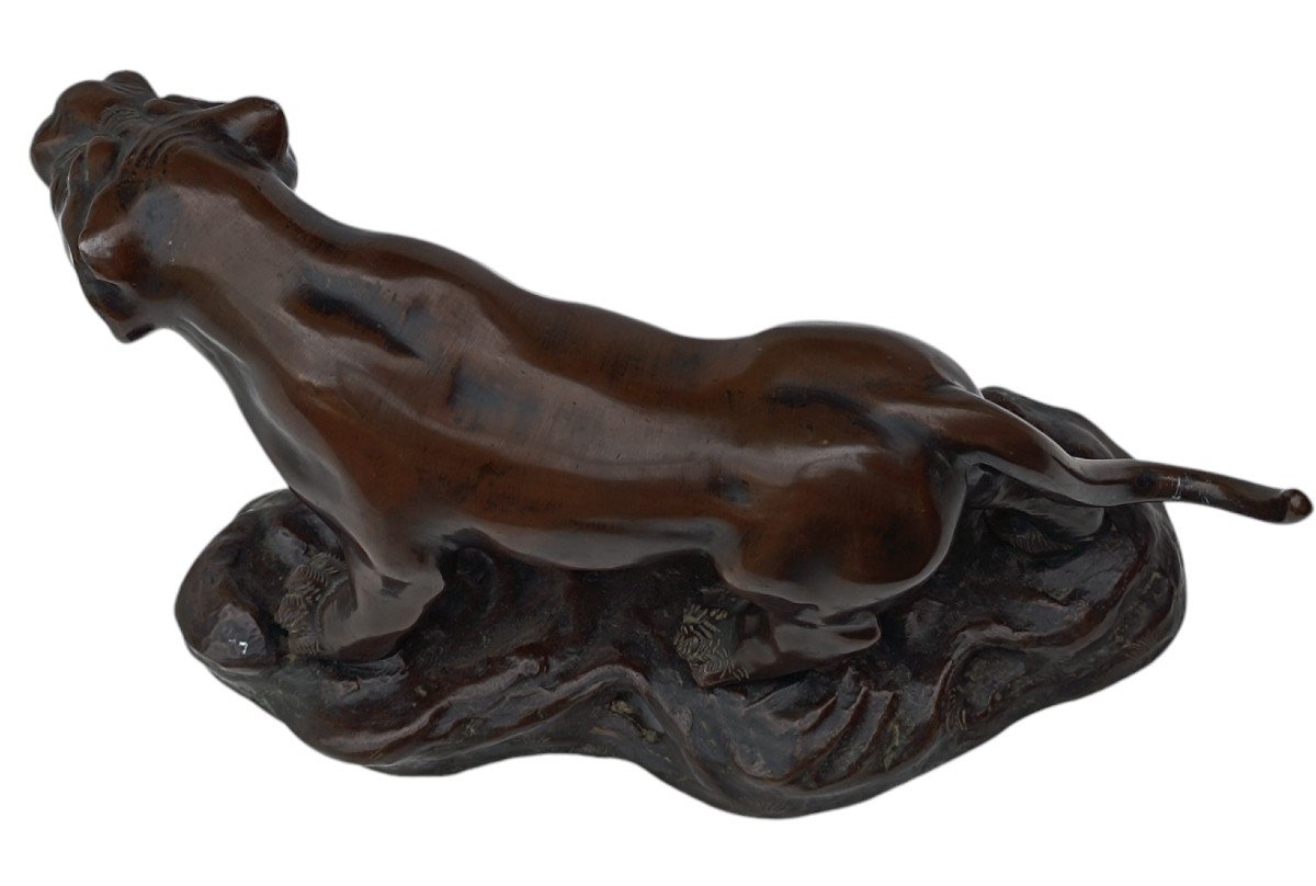 Tigre bronze époque Meiji / Japon-photo-2