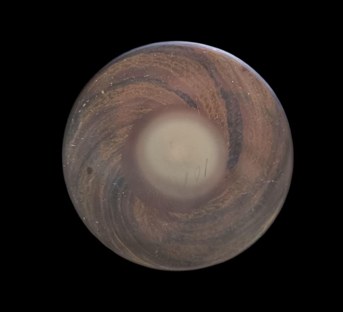 Vase Émile Gallé -photo-3