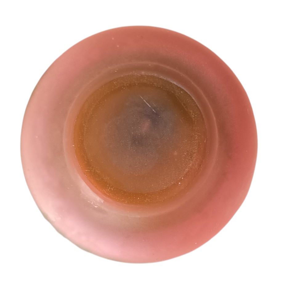 émile Gallé Soliflore Vase-photo-2