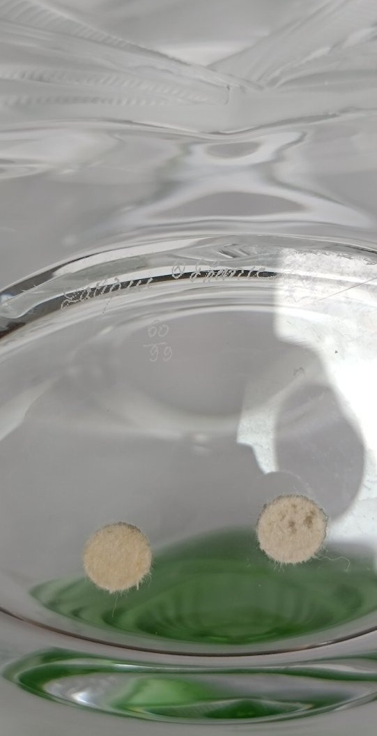 Vase modèle tresses Lalique France / Édition limitée -photo-4
