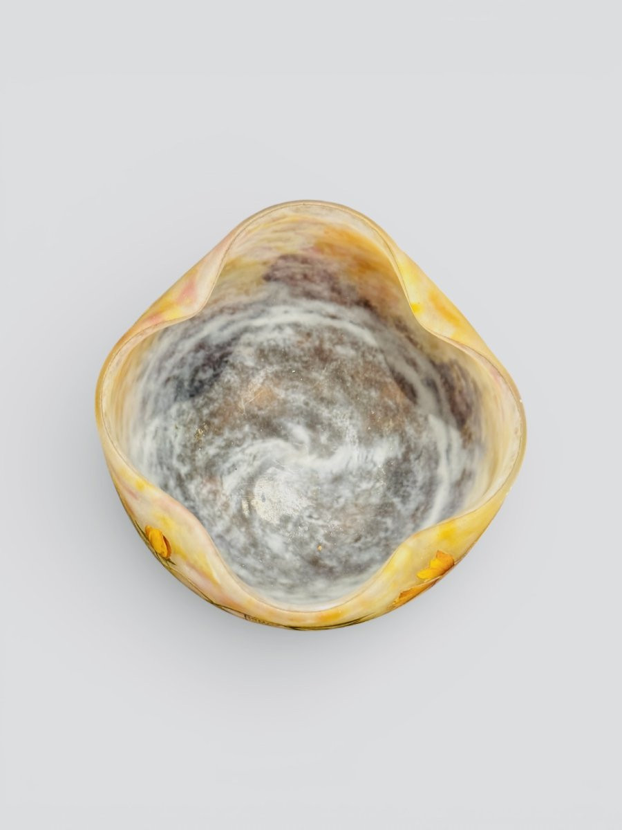 Daum Nancy Glass Paste Daisy Model-photo-2