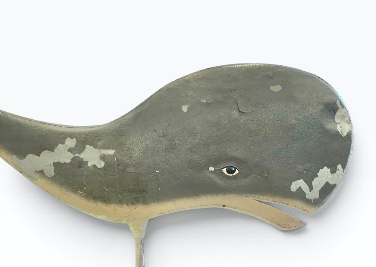 Enseigne en forme de baleine -photo-1