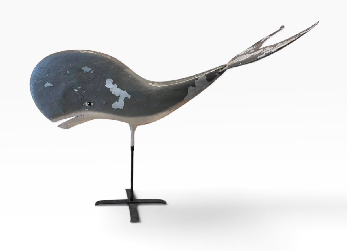 Enseigne en forme de baleine -photo-5