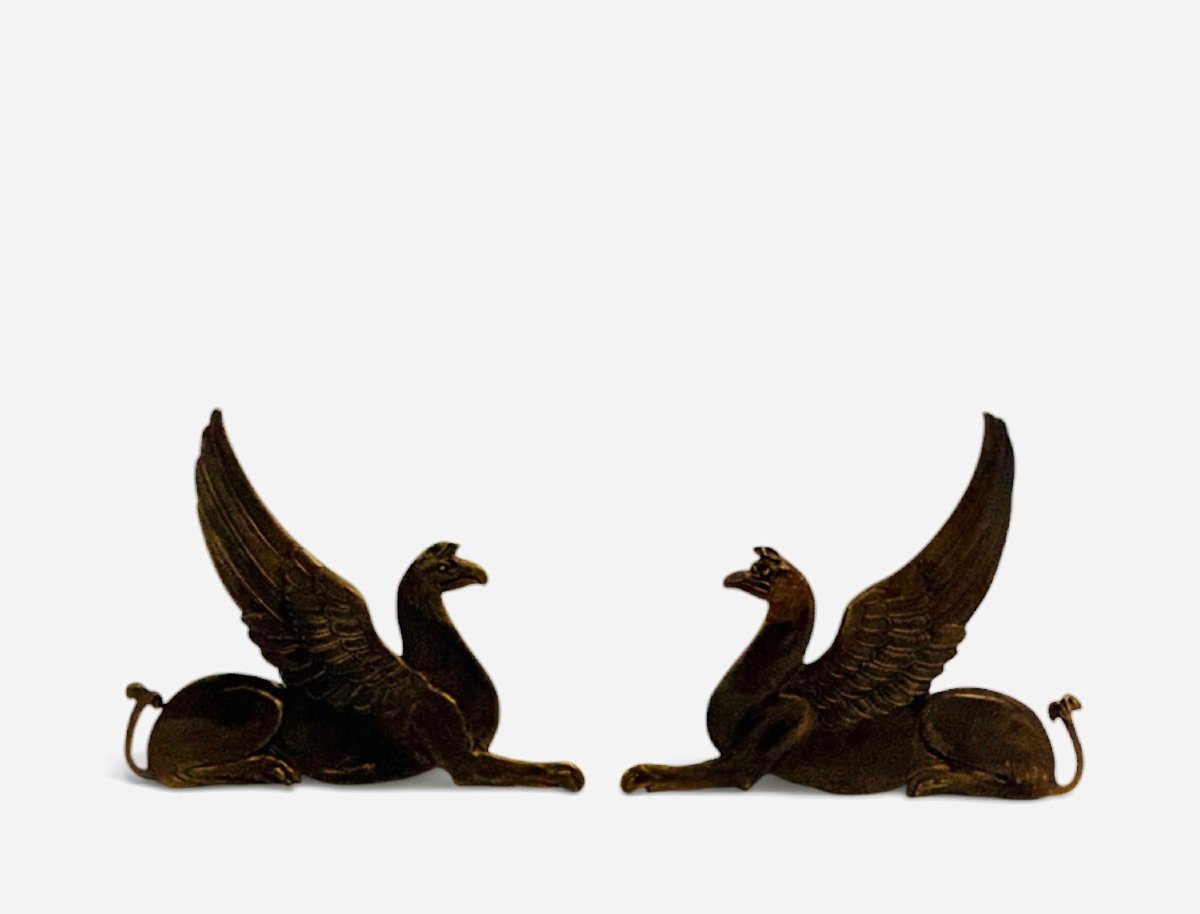 Paire de chenets decor de griffons du XIXe siècle en bronze et fer forgé-photo-2