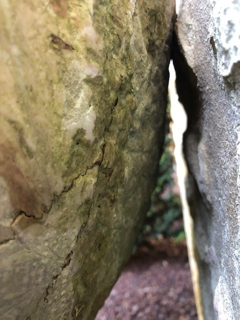 Vasque, fontaine sur pied en marbre d'époque XVIII ème-photo-2