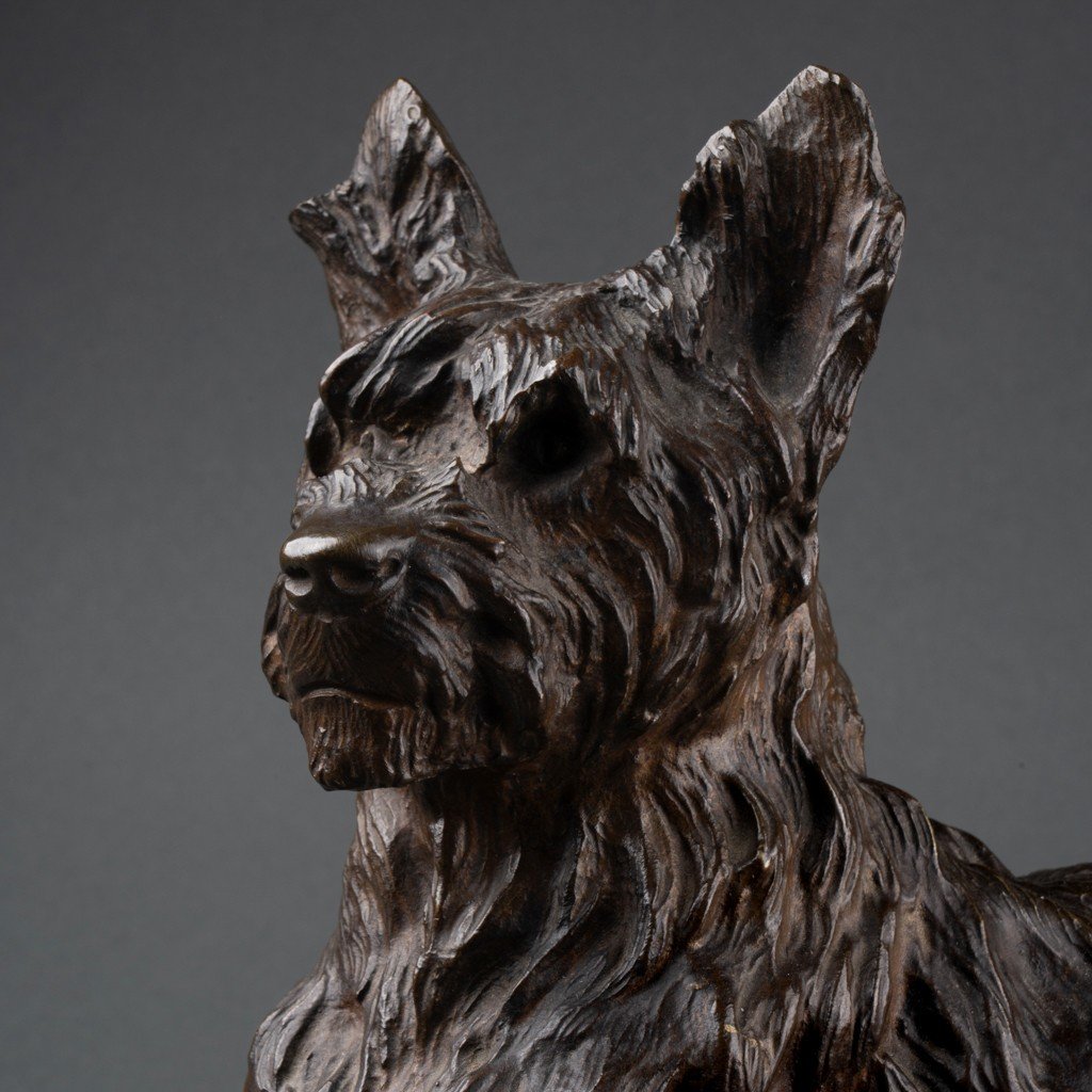 Thomas François Cartier (1879-1936): "seated Briard", Patinated Bronze Sculpture , Early XXth C-photo-2