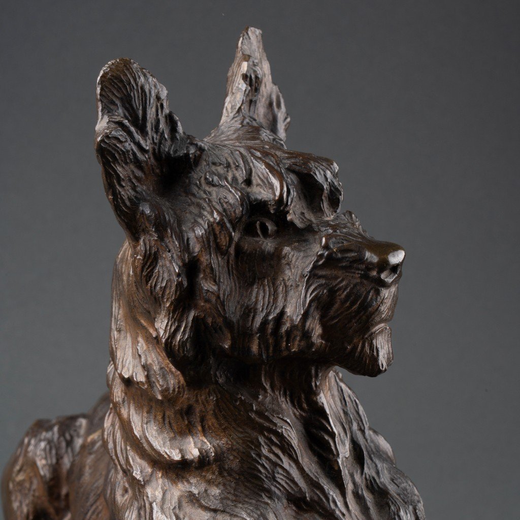Thomas François Cartier (1879-1936): "seated Briard", Patinated Bronze Sculpture , Early XXth C-photo-2