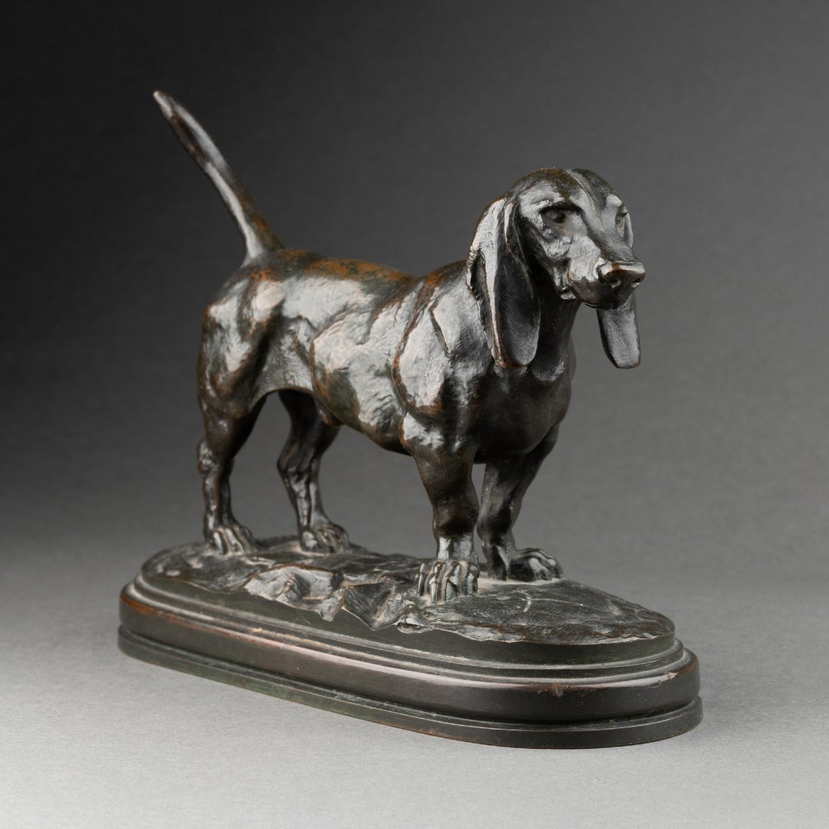 Antoine-louis Barye - Basset, Bronze 19th Century Cast Fb Gold Stamp-photo-3