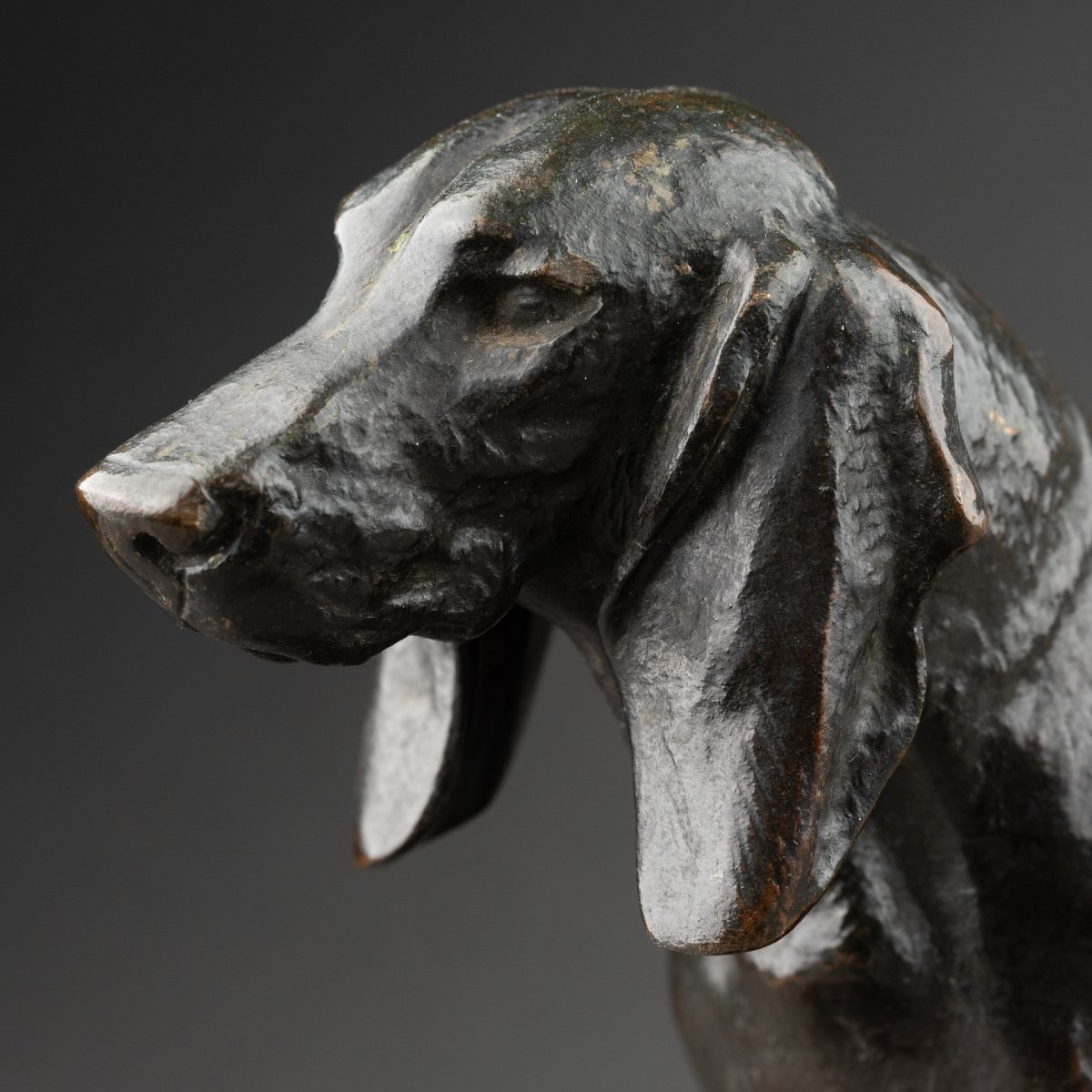 Antoine-louis Barye - Basset, Bronze 19th Century Cast Fb Gold Stamp-photo-1