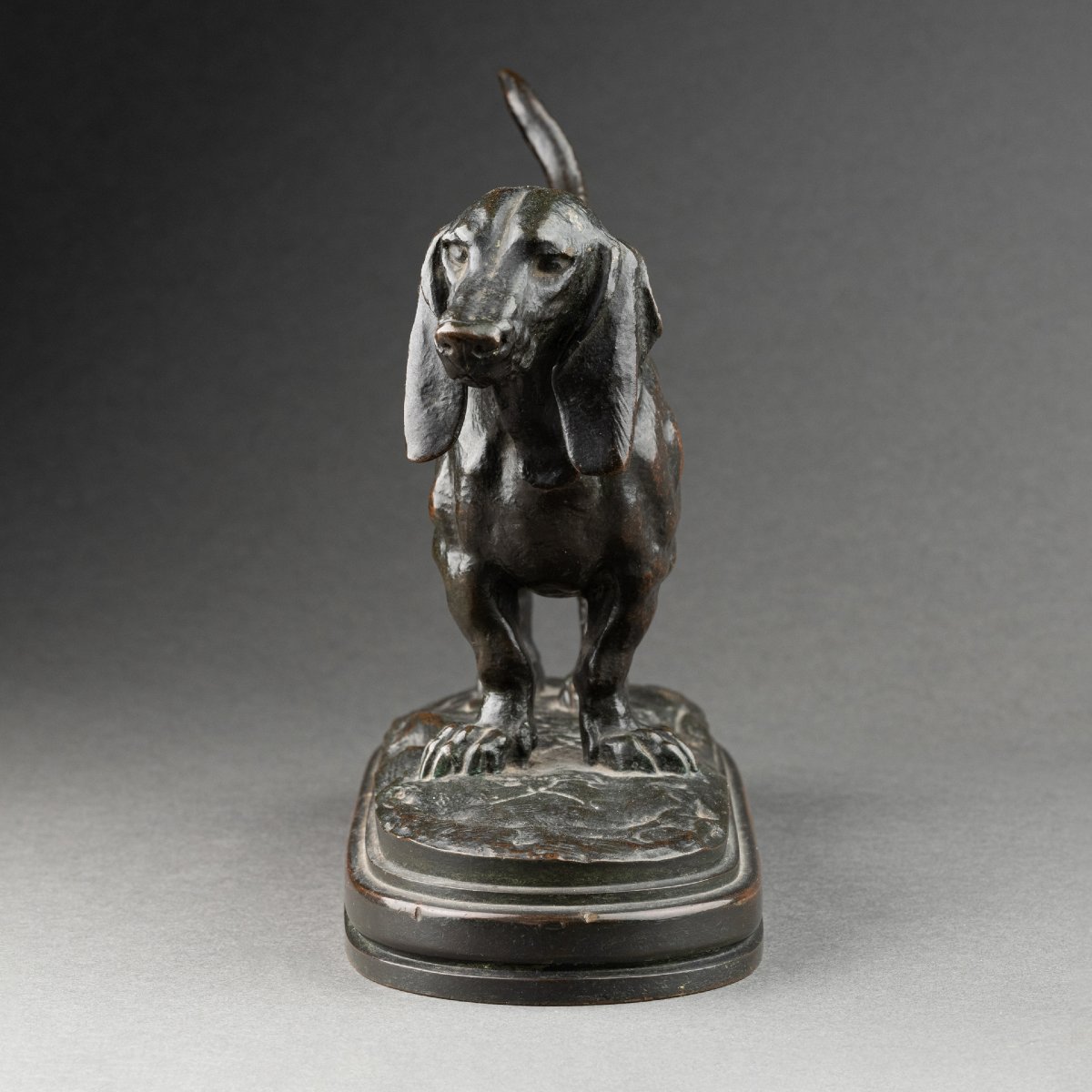 Antoine-louis Barye - Basset, Bronze 19th Century Cast Fb Gold Stamp-photo-2