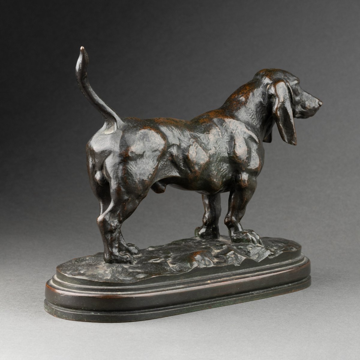 Antoine-louis Barye - Basset, Bronze 19th Century Cast Fb Gold Stamp-photo-3