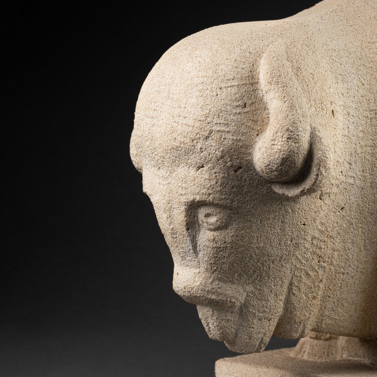 American Bison - Direct Carving On White Limestone Without Mark Or Signature-photo-5