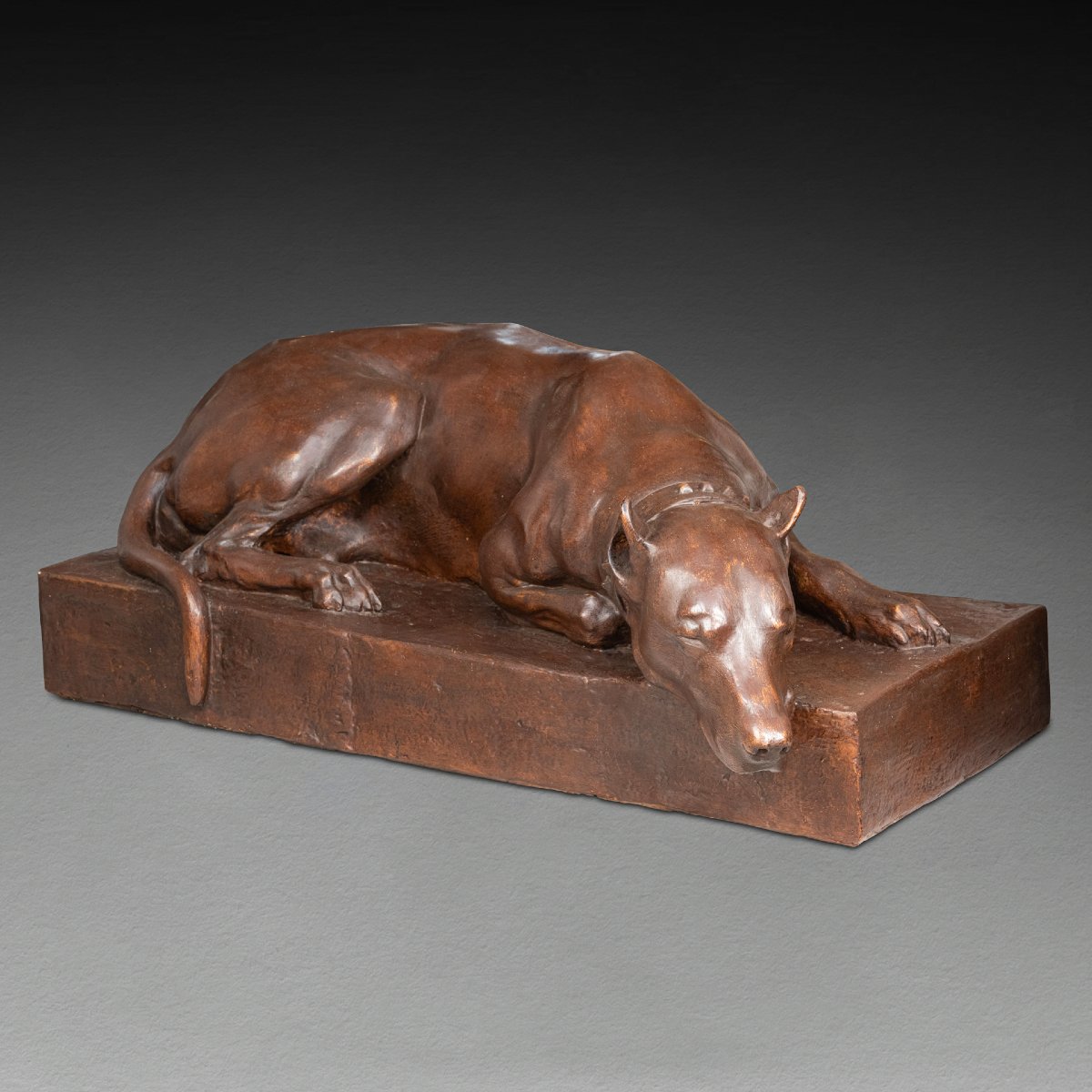 Reclining Dogue (life-size) - Early 20th-century Patinated Studio Plaster Cast-photo-3