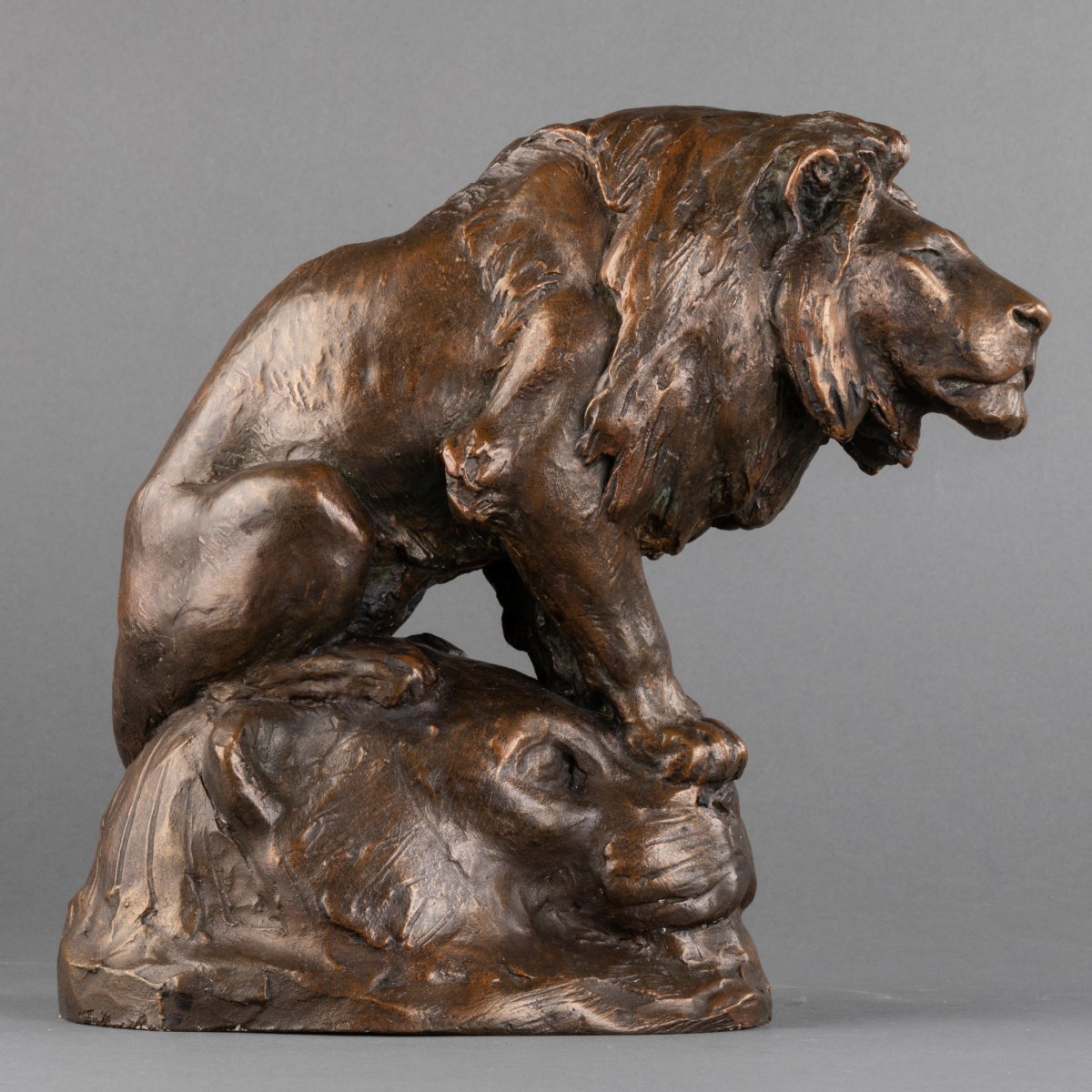 Georges Gardet (1863-1939) - Lion - Plâtre d'Atelier Dédicacé - Fin XIX / Début XXème Siècle-photo-2