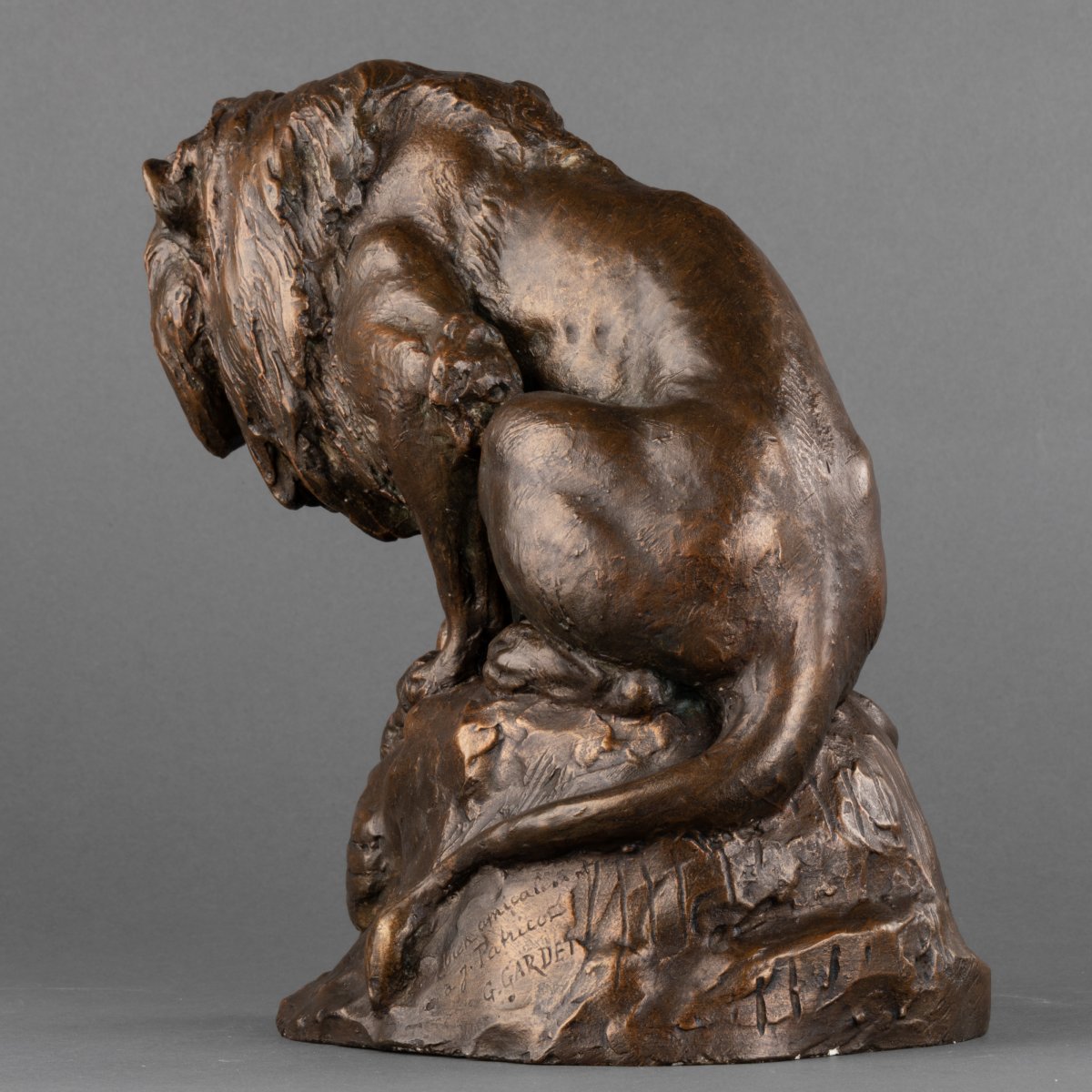 Georges Gardet (1863-1939) - Lion - Dedicated Workshop Plaster - Late XIX / Early XXth Century-photo-3