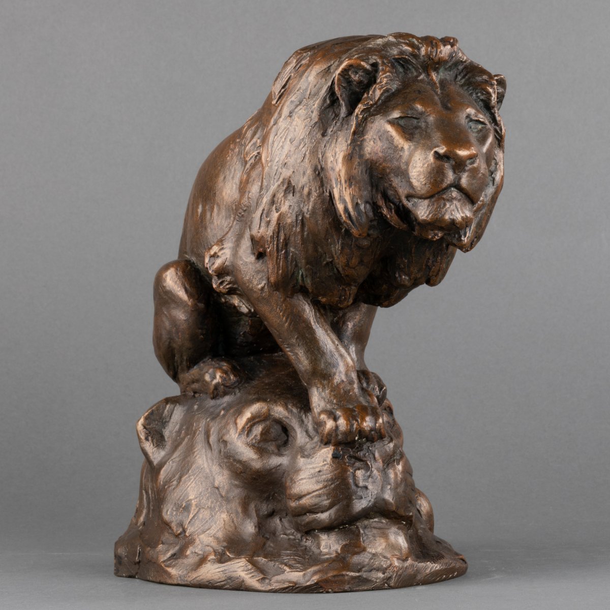 Georges Gardet (1863-1939) - Lion - Plâtre d'Atelier Dédicacé - Fin XIX / Début XXème Siècle-photo-4