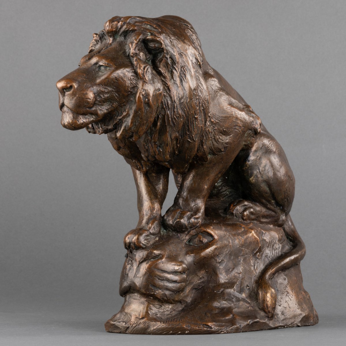 Georges Gardet (1863-1939) - Lion - Plâtre d'Atelier Dédicacé - Fin XIX / Début XXème Siècle-photo-4