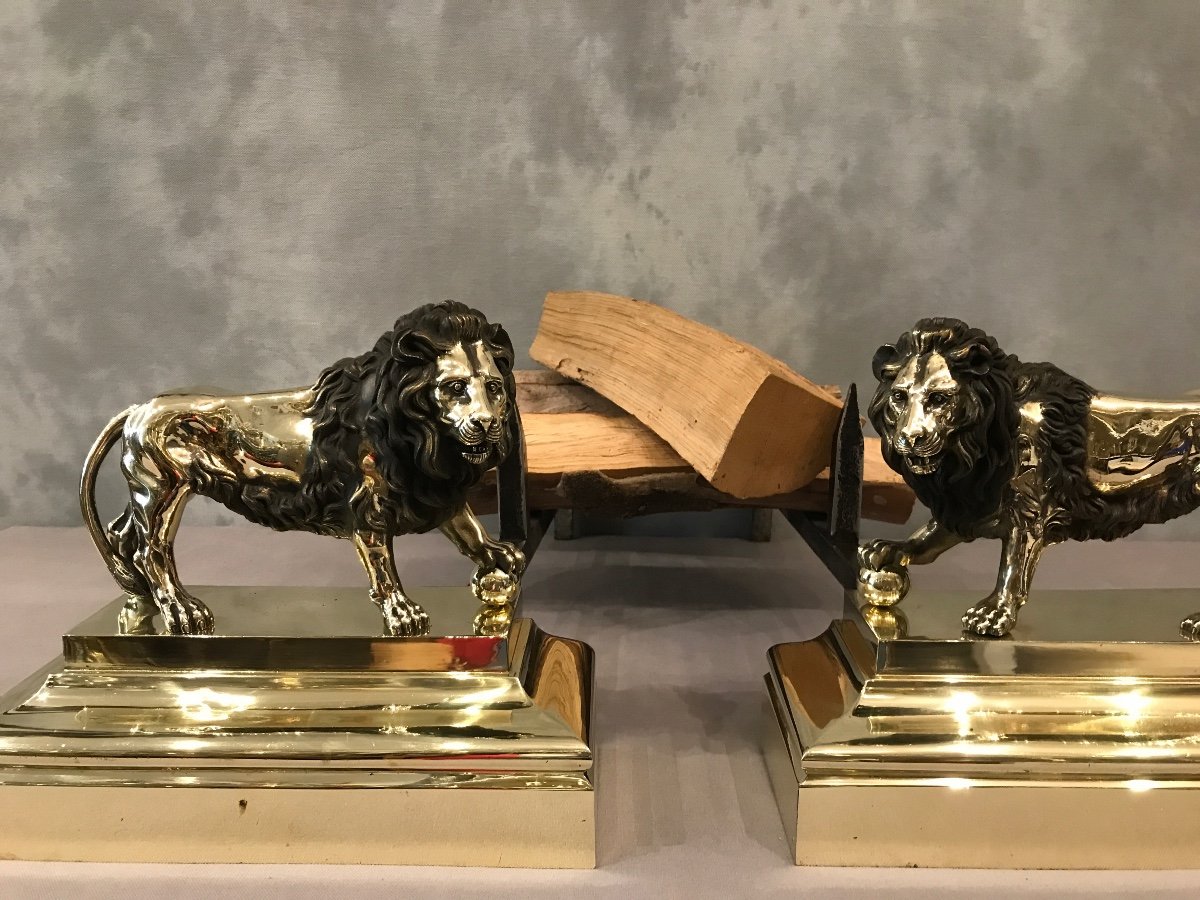 Paire De Chenets anciens  En Bronze D’époque 19 ème Modèle Aux Lions -photo-2