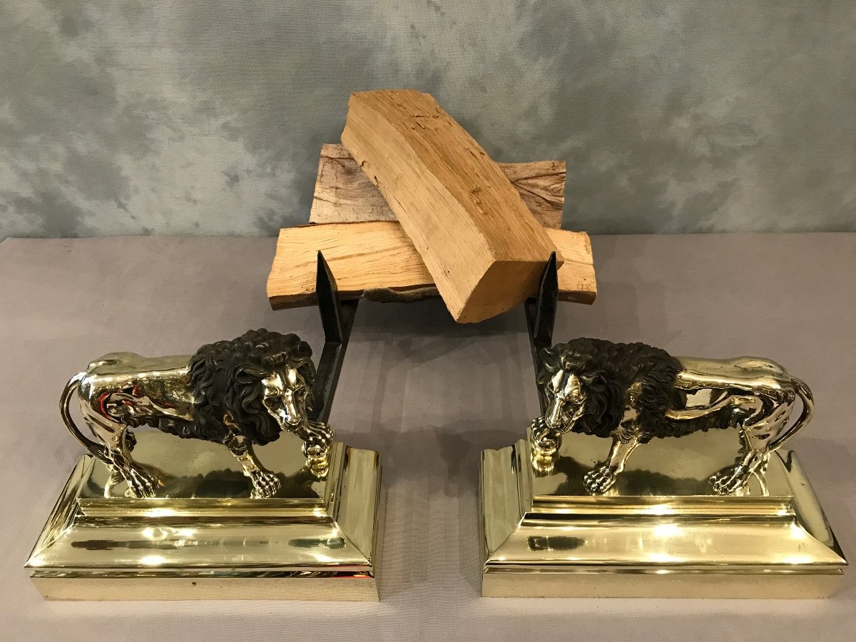 Pair Of 19th Century Bronze Andirons Model With Lions-photo-1