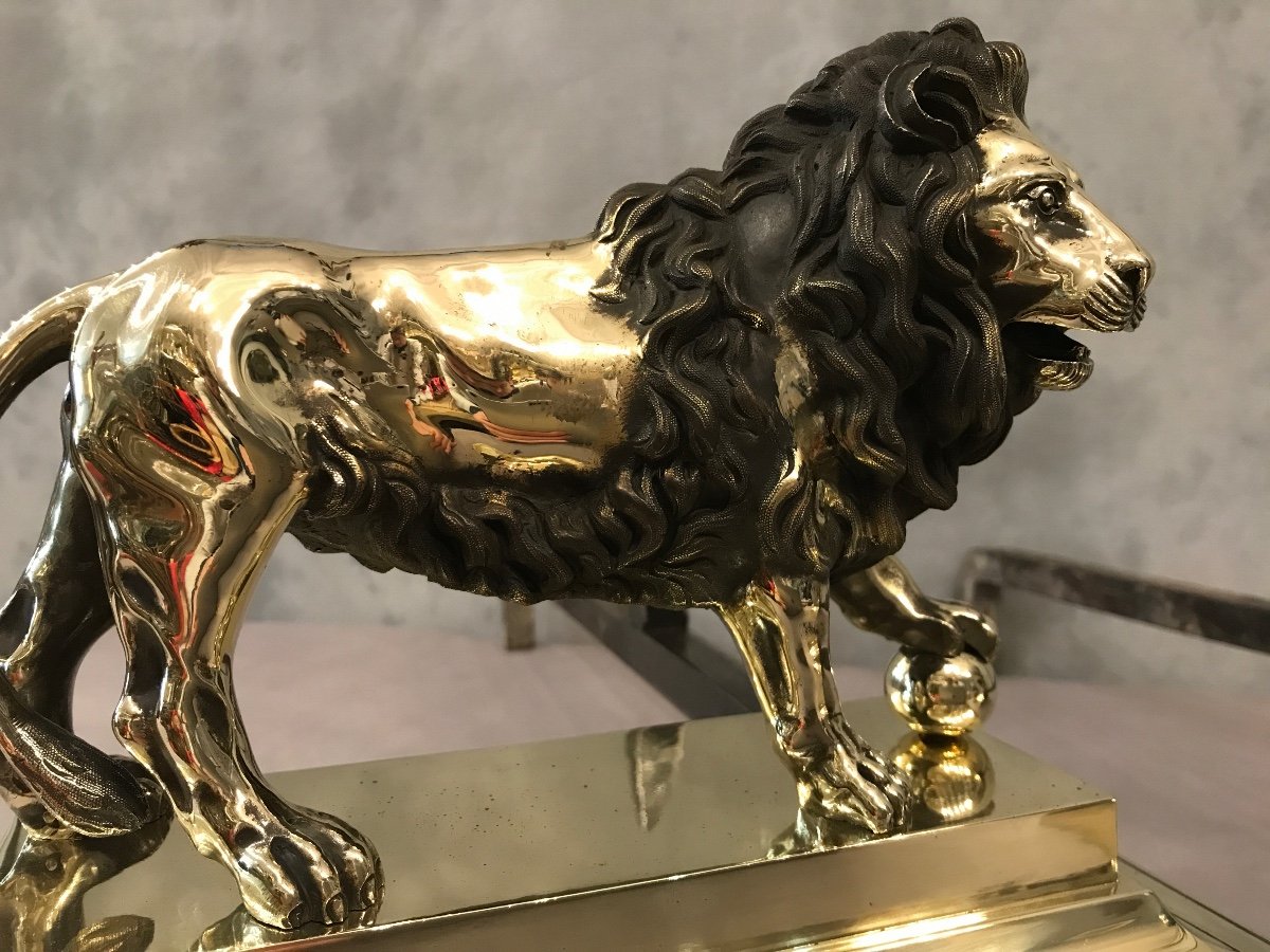 Paire De Chenets anciens  En Bronze D’époque 19 ème Modèle Aux Lions -photo-6